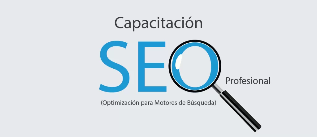 Capacitación SEO Profesional